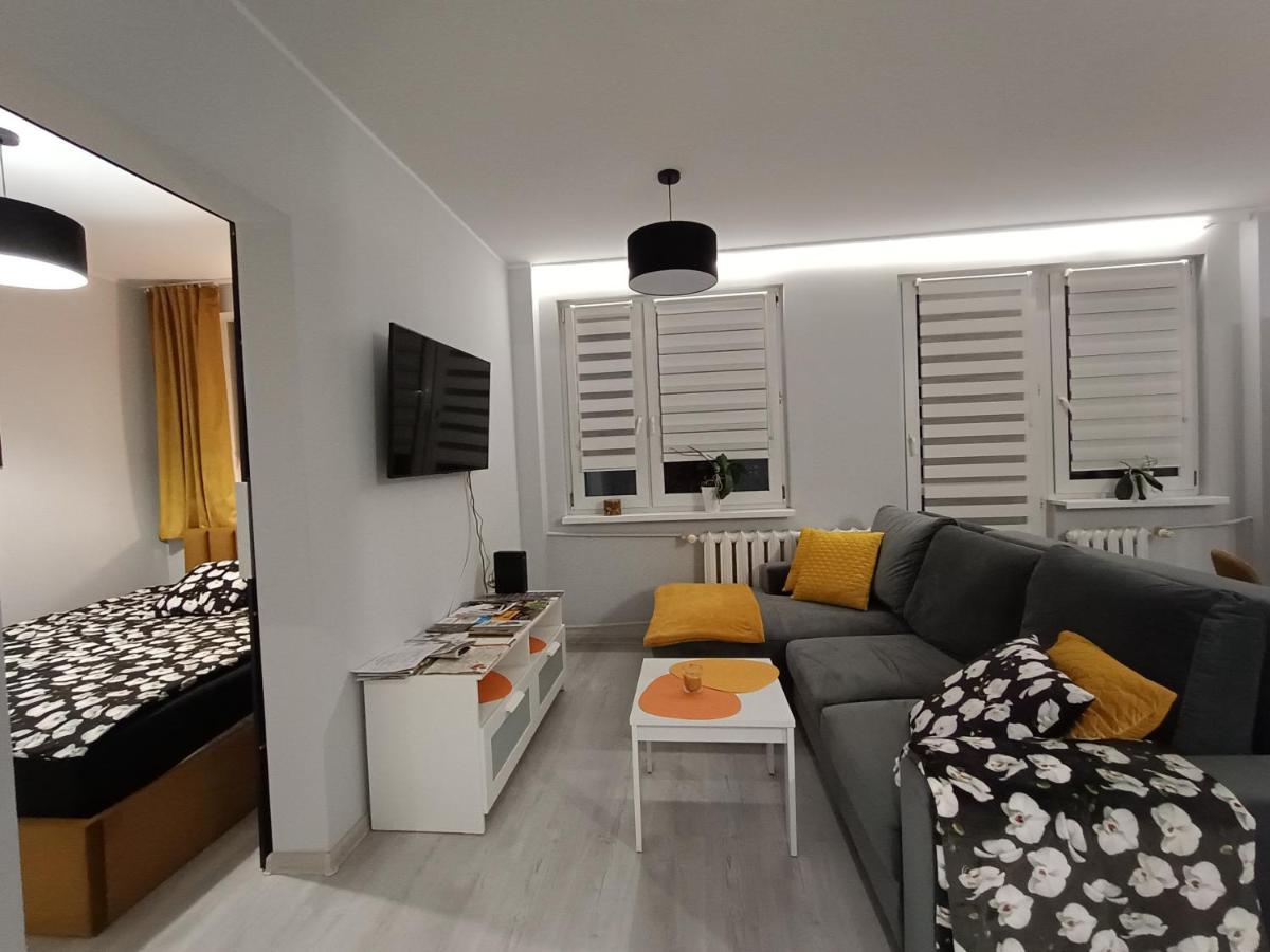 Bursztynowy Apartament تارنوفسكي غوره المظهر الخارجي الصورة