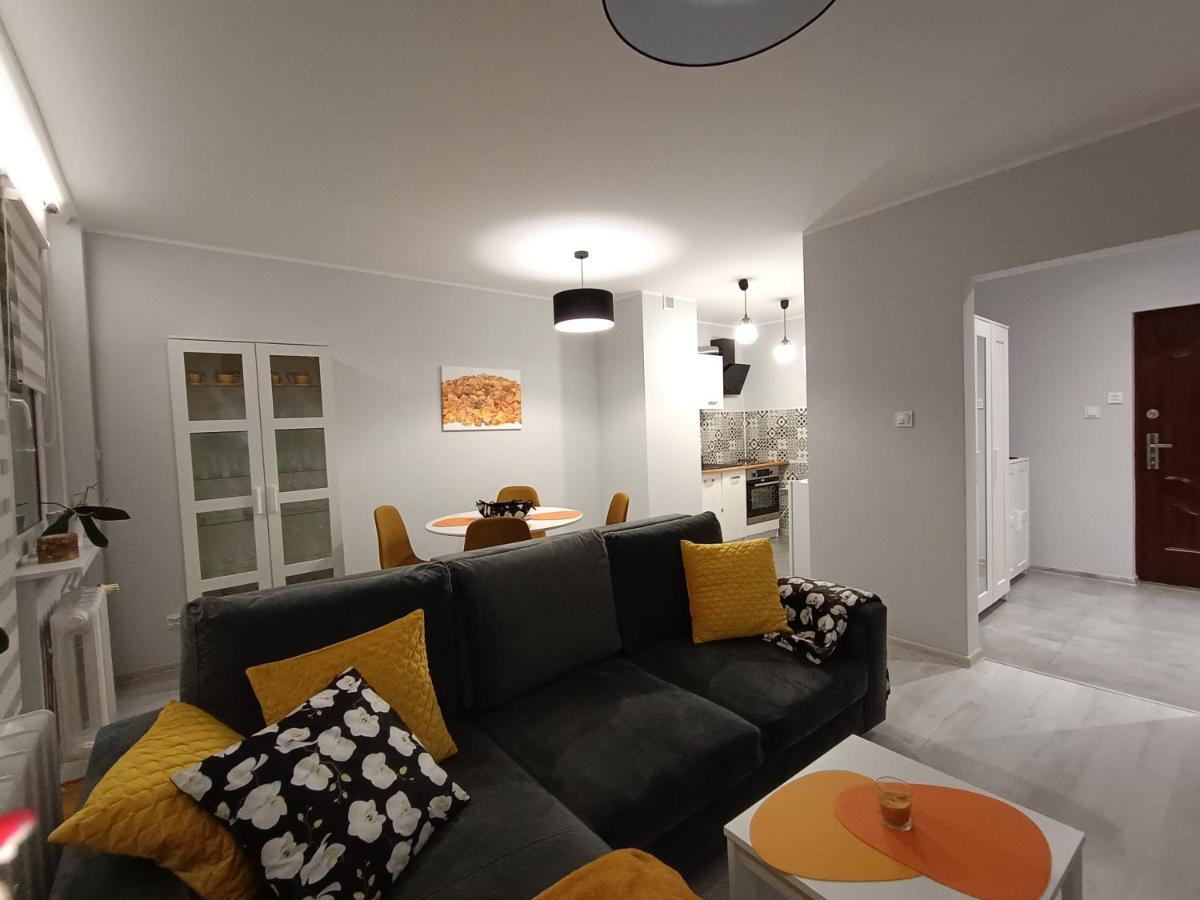 Bursztynowy Apartament تارنوفسكي غوره المظهر الخارجي الصورة