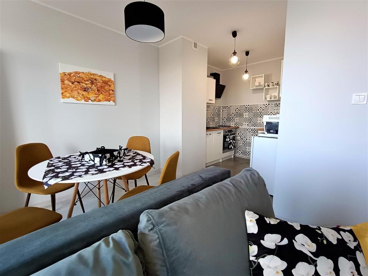 Bursztynowy Apartament تارنوفسكي غوره المظهر الخارجي الصورة