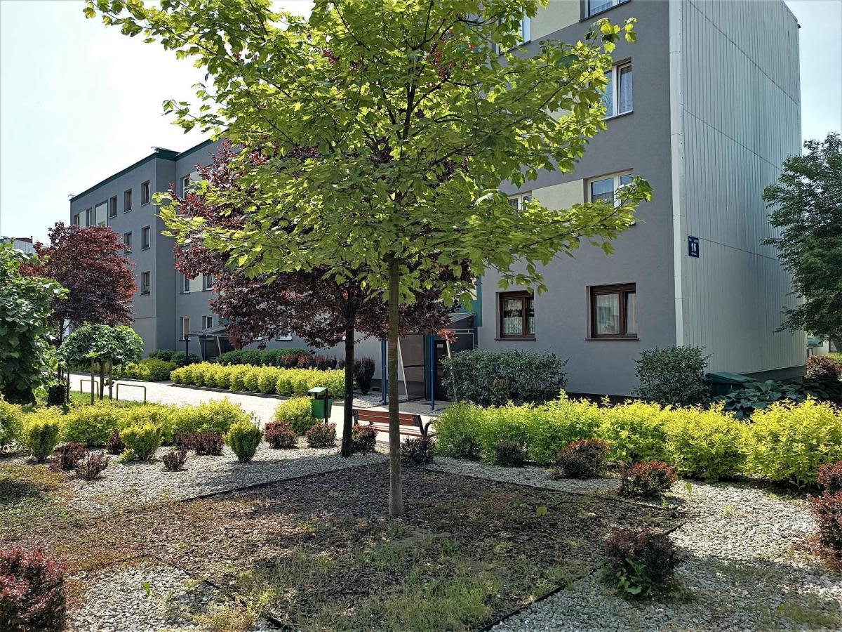 Bursztynowy Apartament تارنوفسكي غوره المظهر الخارجي الصورة