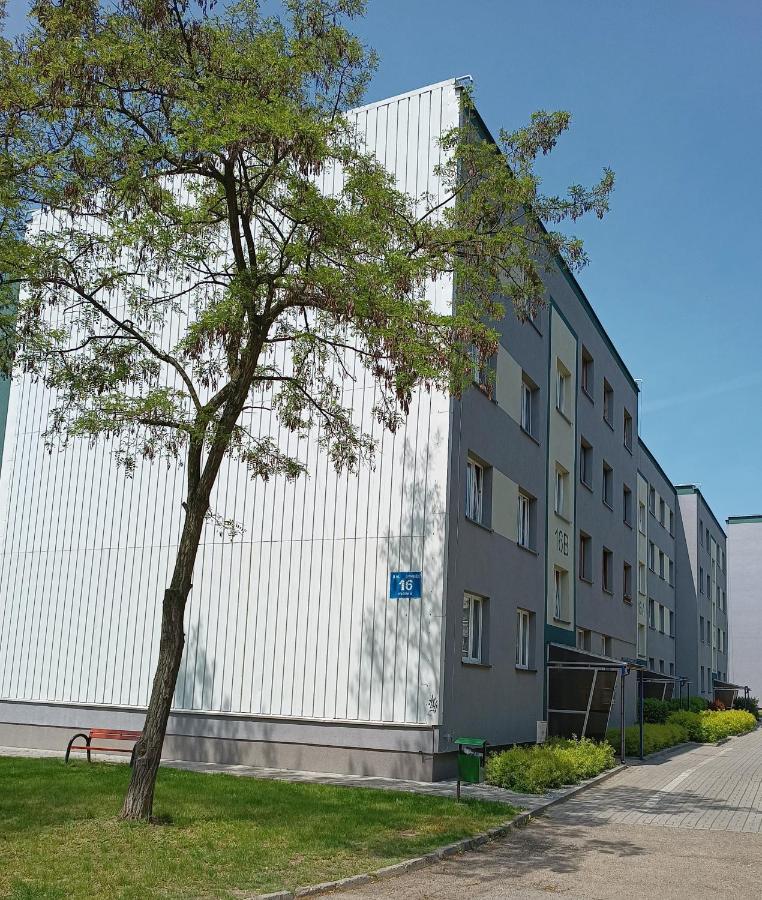 Bursztynowy Apartament تارنوفسكي غوره المظهر الخارجي الصورة