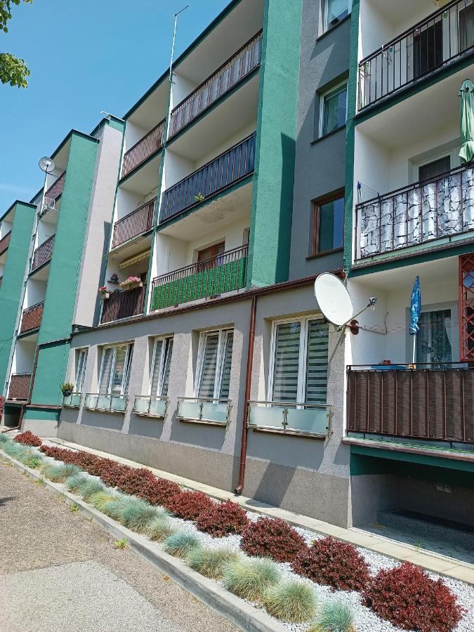 Bursztynowy Apartament تارنوفسكي غوره المظهر الخارجي الصورة