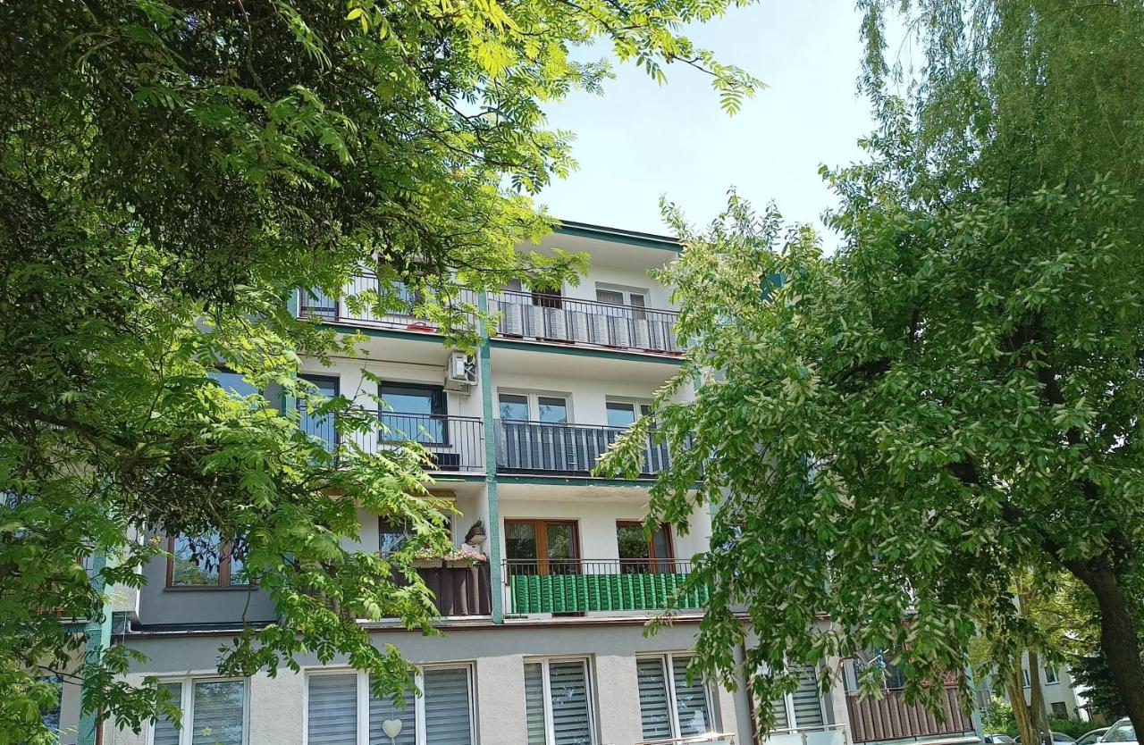 Bursztynowy Apartament تارنوفسكي غوره المظهر الخارجي الصورة