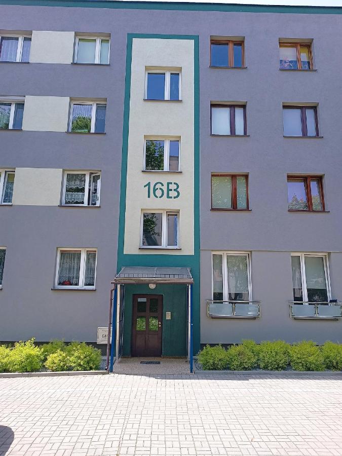 Bursztynowy Apartament تارنوفسكي غوره المظهر الخارجي الصورة