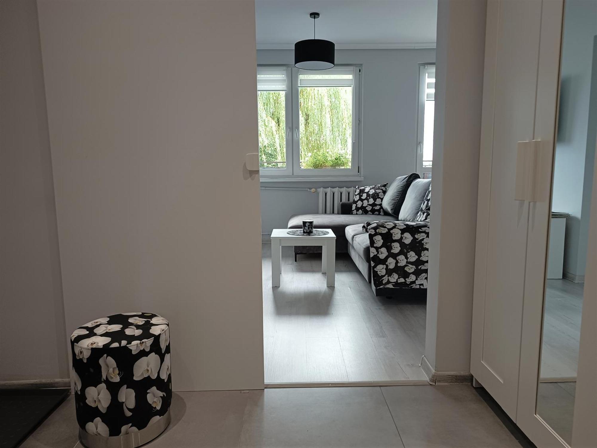 Bursztynowy Apartament تارنوفسكي غوره المظهر الخارجي الصورة